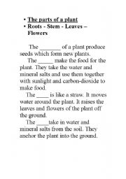 English Worksheet: Parts of a plant