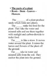 English worksheet: Parts of a plant