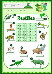 English Worksheet: Reptiles