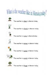 English worksheet: what is the weather like