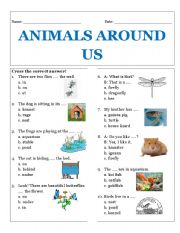 Animals Around Us