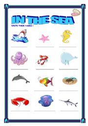 English Worksheet: sea animals 