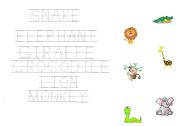 English worksheet: Writing animal words