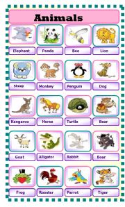 English Worksheet: animals