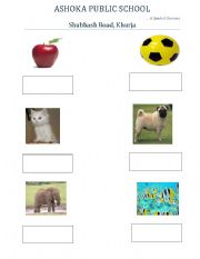 English worksheet: Alphabets 