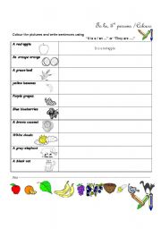 English Worksheet: singular-plural