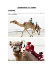 English worksheet: Camel race in the UAE between the past and now 