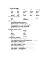 English worksheet: Vocabulary test beginners