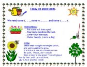 English Worksheet: PLANTS