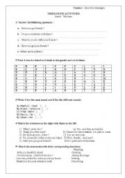 English Worksheet: ACTIVITIES FOR BEGINNERS