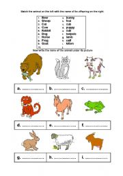 English worksheet: worksheet