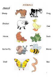 English Worksheet: Animals