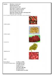 English Worksheet: Hamster quiz