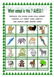 English Worksheet: animal guess