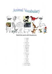 English Worksheet: Animal Vocabulary