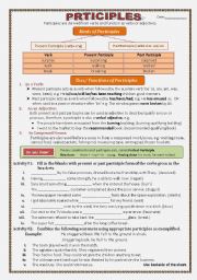 English Worksheet: participles