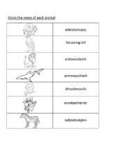 English worksheet: animals