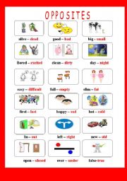 English Worksheet: opposites