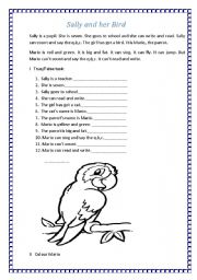 English Worksheet: Sally and Her Bird