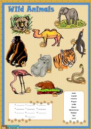 English Worksheet: Wild animals