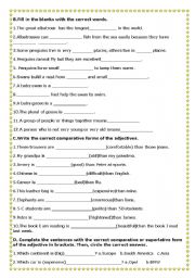 English Worksheet: comparatives - superlatives