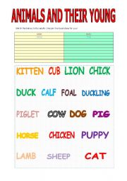 English worksheet: Adult animals and their young matching worksheet