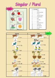 English Worksheet: Singular / plural