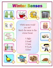 English Worksheet: Winter Senses