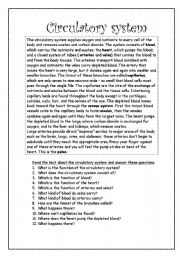 English Worksheet: Circulatory system