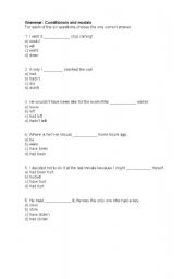 English worksheet: conditionals