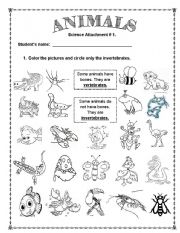 ANIMALS (Vertebrates and Invertebrates)