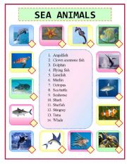 English Worksheet: Sea Animals