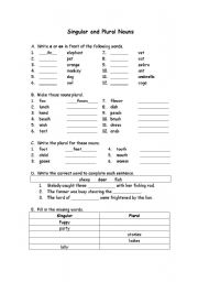 English Worksheet: singular and plural noun