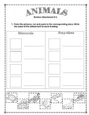 English Worksheet: ANIMALS (Vertebrates: Mammals, Reptiles)