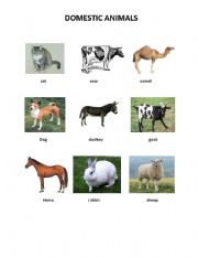 English worksheets: domestic animals