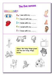 English Worksheet: five senses 