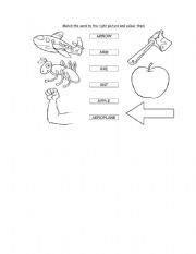 English Worksheet: Match the Words with Pictures