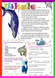 English Worksheet: Whale