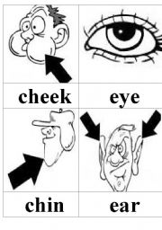 English Worksheet: Cards with parts of face