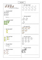 English Worksheet: How many ?