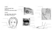 English Worksheet: body parts