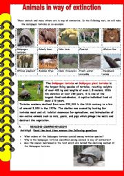 English Worksheet: animals in way of extinction