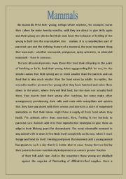 English Worksheet: Mammals