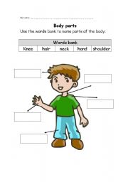 English Worksheet: body parts