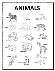 Animals