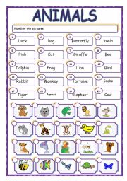 English Worksheet: animal matching