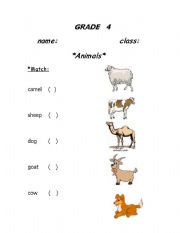 English Worksheet: animals in the country
