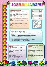 English Worksheet: Possessive Adjectives