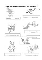 English Worksheet: Insects 