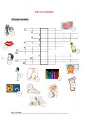 English Worksheet: body parts crossword